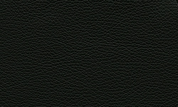 Fjords Black NL 101 Nordic Line Leather 